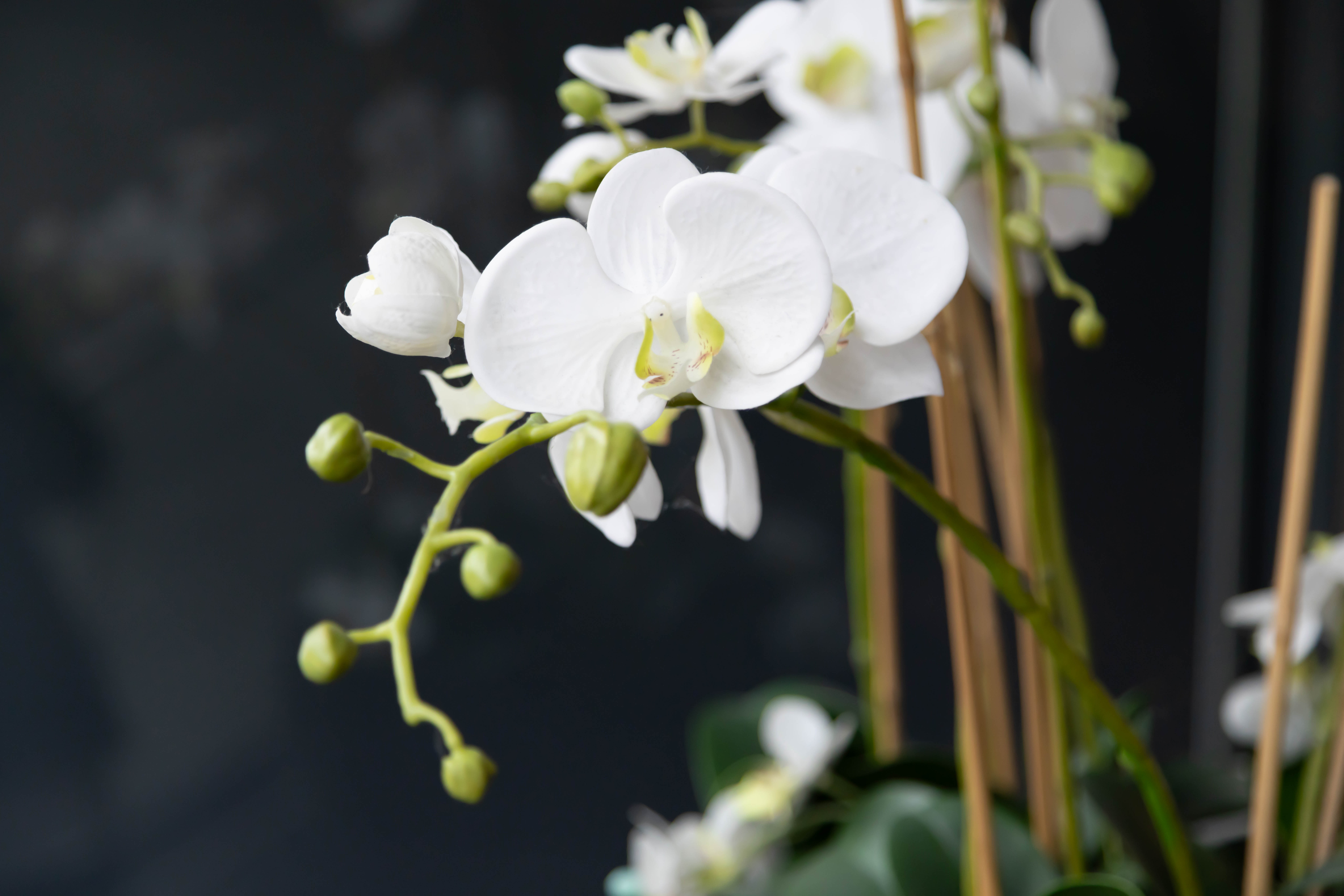 Alternativer Text für Start_MENU_FAQ